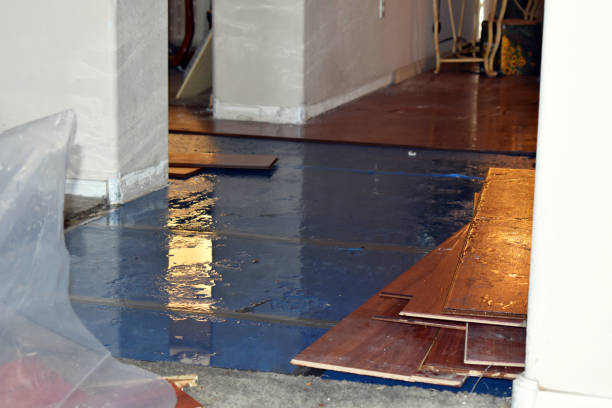 Professional Flood Damage Repair technician working in Bangor, MI